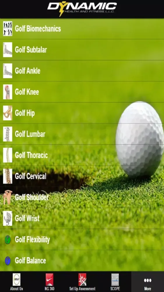 Capturas de tela do DHF GOLF