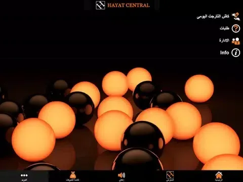 Zrzuty ekranu Hayat Central iPad 