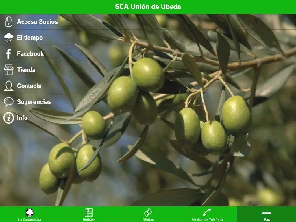 SCA UNION DE UBEDA iPad  Screenshots