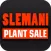 Slemani Plant Sale