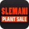 Slemani Plant Sale