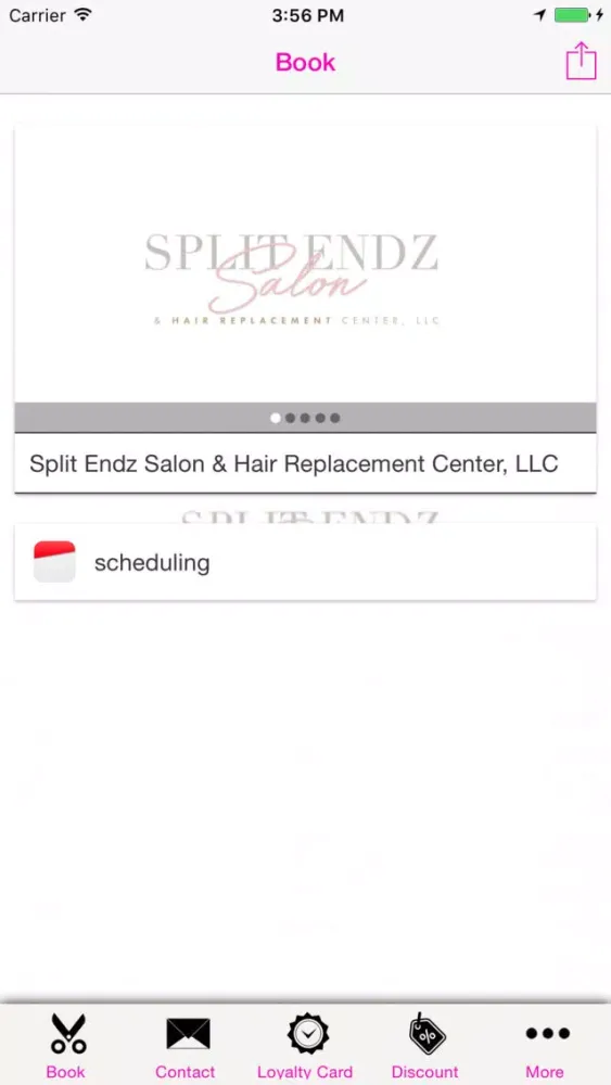 Split Endz Salon Screenshots