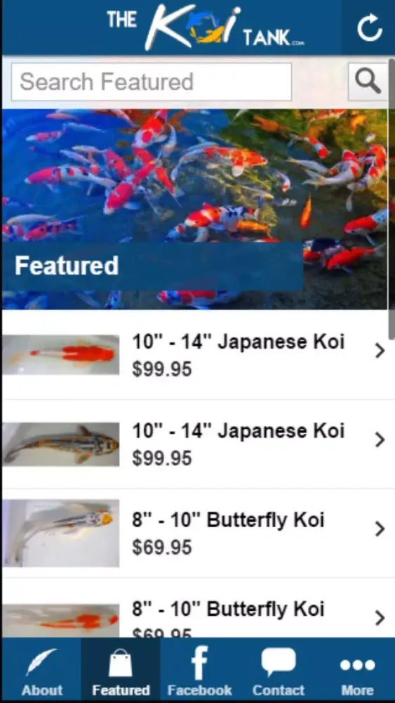 صور The Koi Tank
