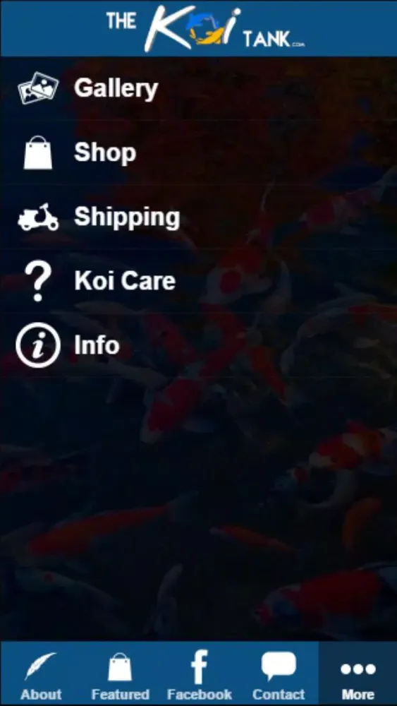 صور The Koi Tank