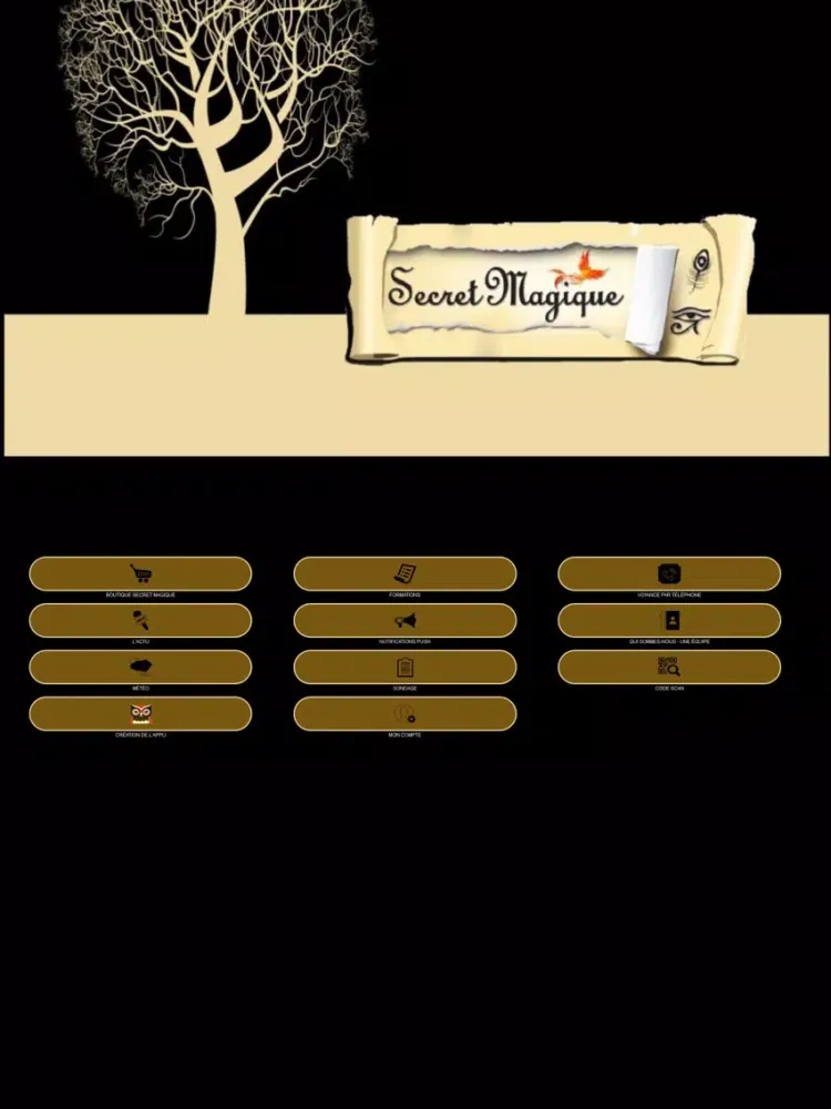 Secret magique iPad  স্ক্রিনশট