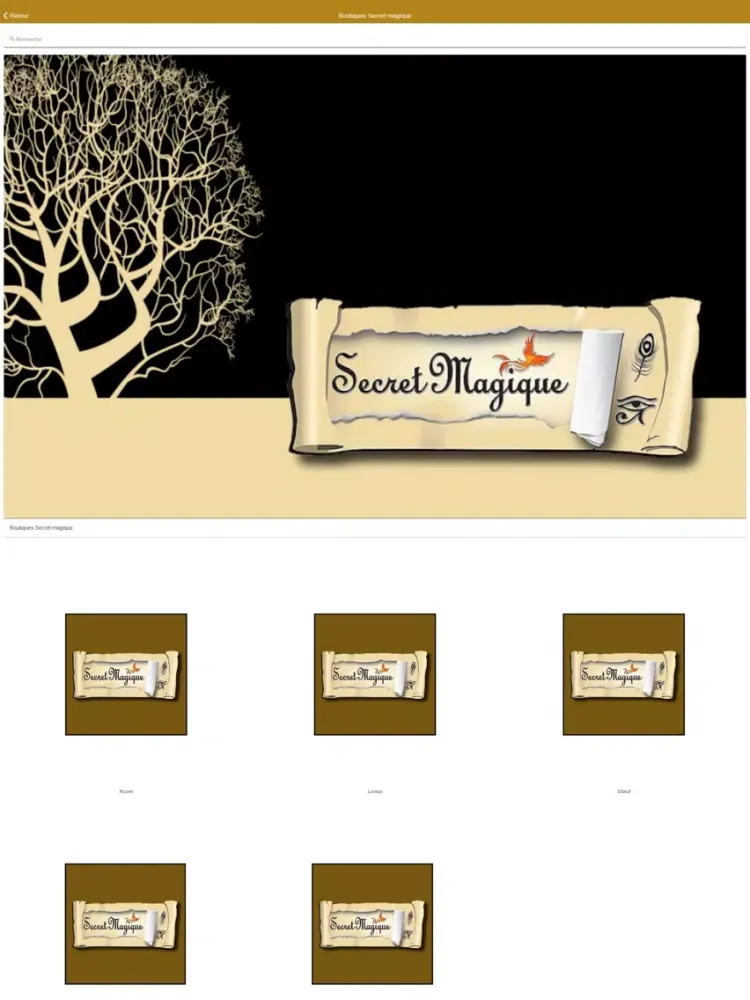 Secret magique iPad  স্ক্রিনশট