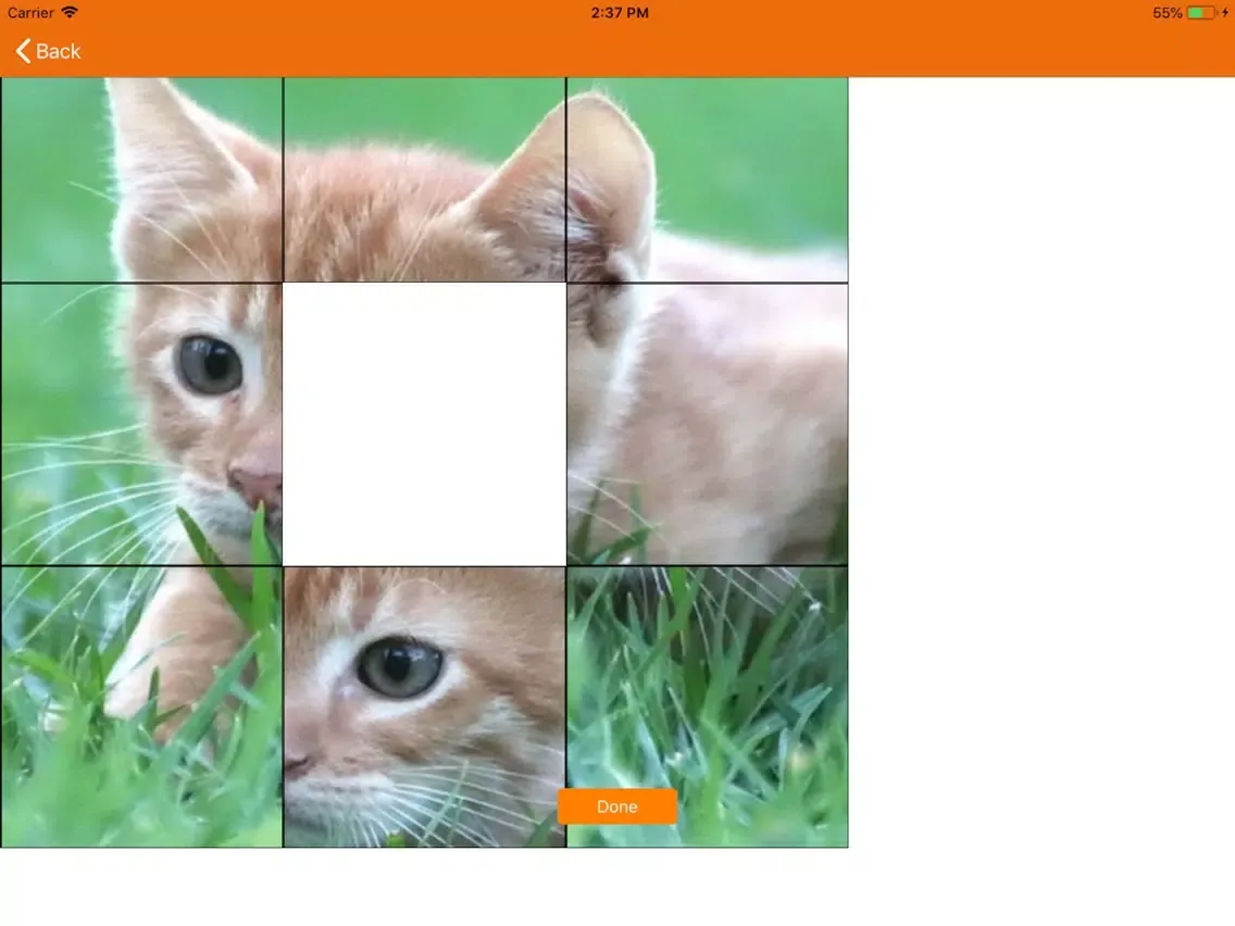 صور DemKonnect - Dementia Care App iPad 