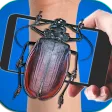 Beetle On Hand Mega Joke