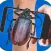 Beetle On Hand Mega Joke