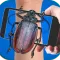 Beetle On Hand Mega Joke