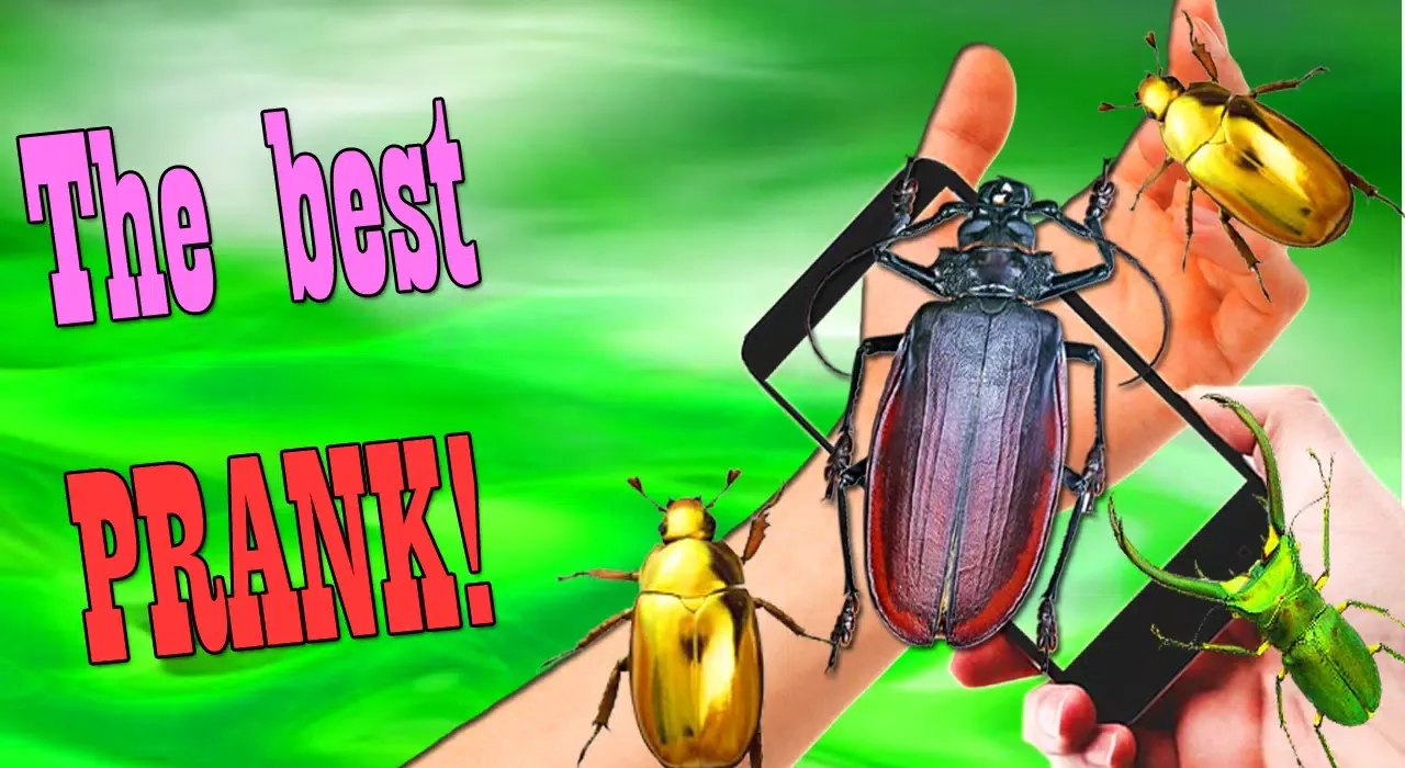 Beetle On Hand Mega Joke Screenshots