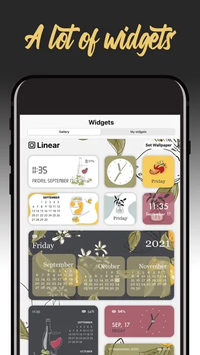 Live Widgets for iPad Screenshots