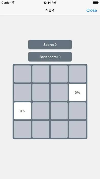 Shades of Gray Game Ekran Görüntüleri