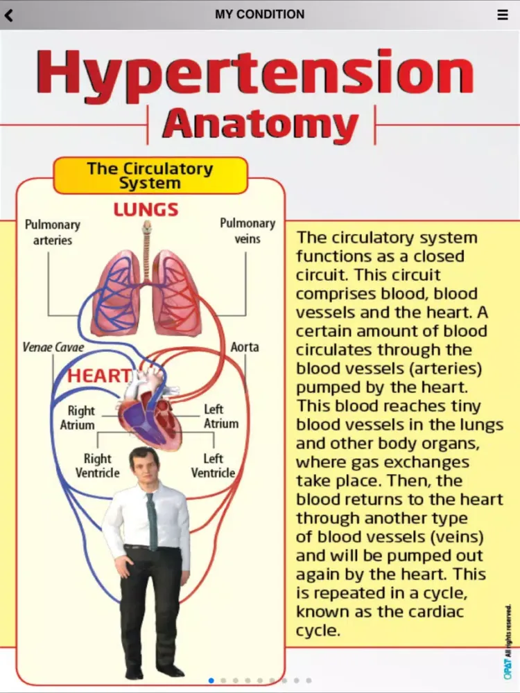 Zrzuty ekranu Manage your Hypertension Six iPad 