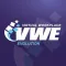 Virtual Workplace Evolution