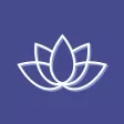 Luminate Skincare Luminate Skincare