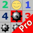 Minesweeper Pro Version