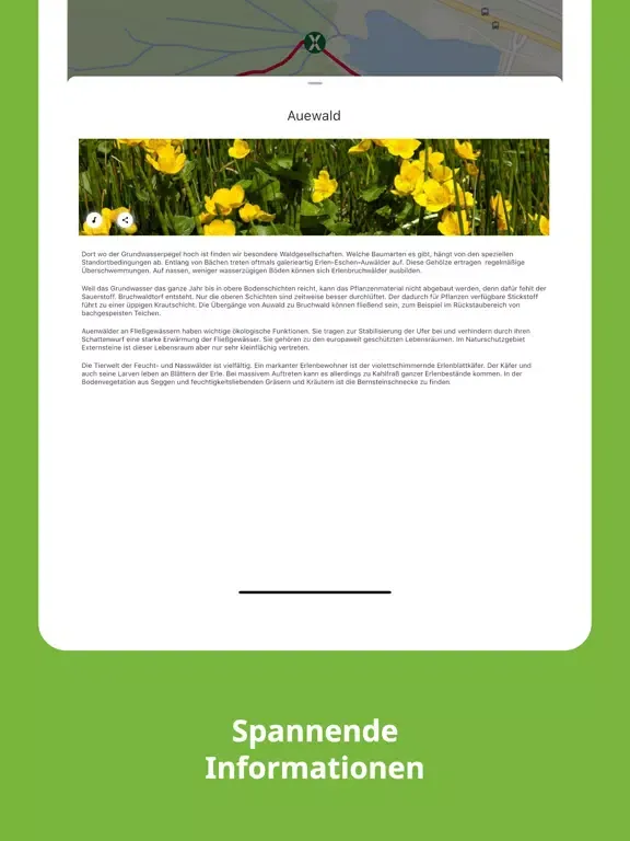 Скриншоты Externsteine Nature Trails iPad 