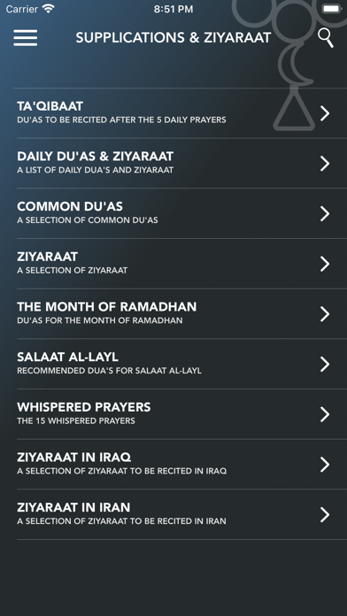 Tangkapan skrin Shia Companion