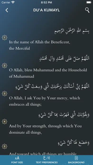صور Shia Companion