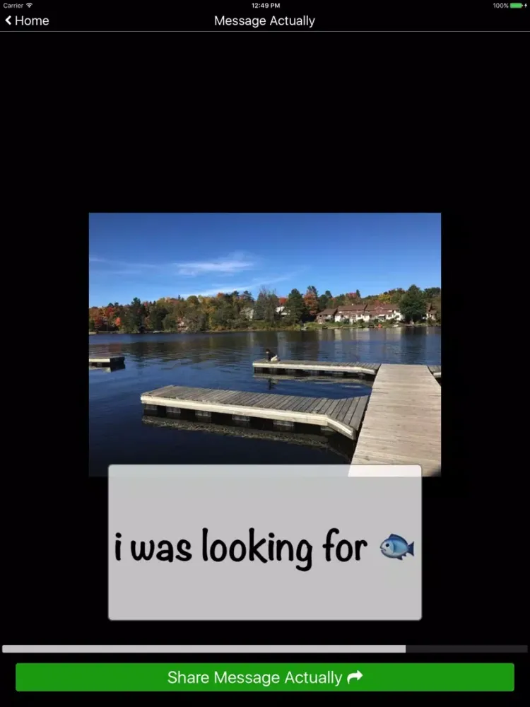 Capturas de tela do Message Actually iPad 