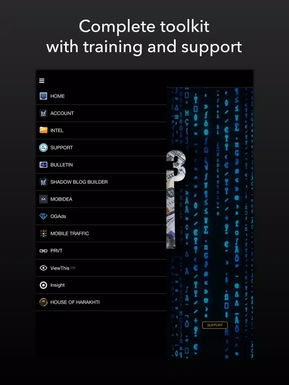 Скриншоты Mobile Money Matrix iPad 
