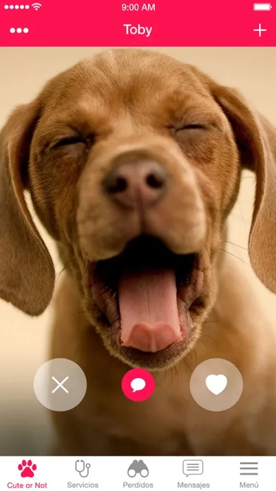 Capturas de pantalla de Pluv
