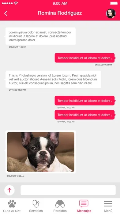 Capturas de pantalla de Pluv