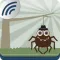 Spider Web Puzzle Game