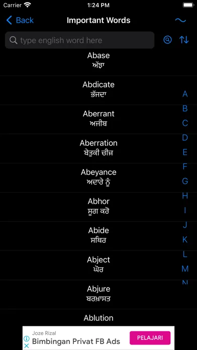 Smart Punjabi Dictionary應用截圖