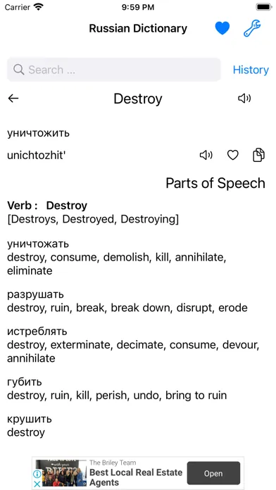 Smart Russian Dictionary سکرین شاٹس