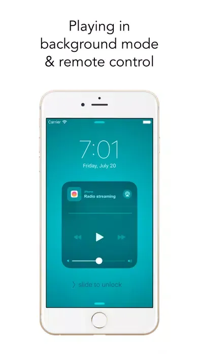 Tangkapan layar Radio din Moldova