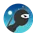 Ninja Run