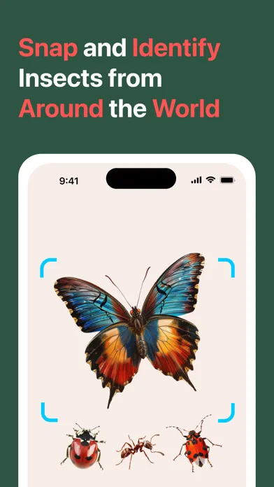 Tangkapan layar AI Insect Identifier: BugBug