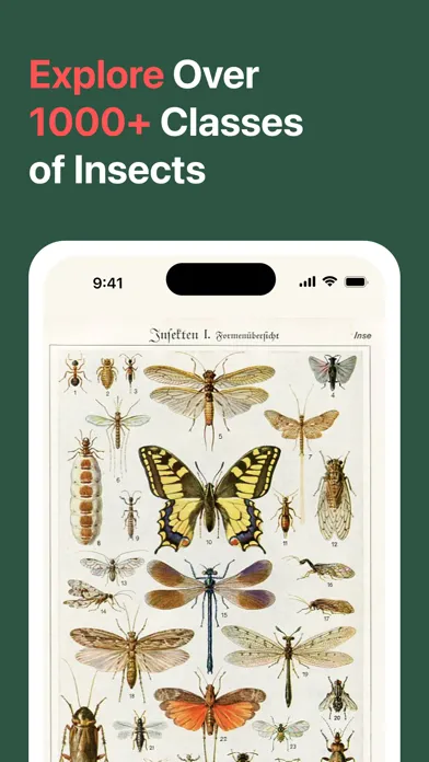 Tangkapan layar AI Insect Identifier: BugBug