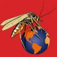 mosquito vs everybody