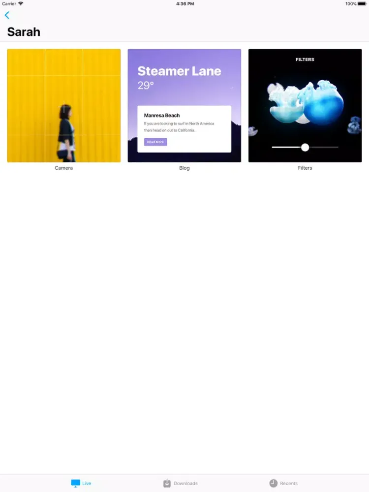 Скриншоты Framer Preview iPad 