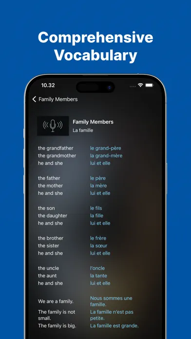 Fast - Speak French Fluently স্ক্রিনশট
