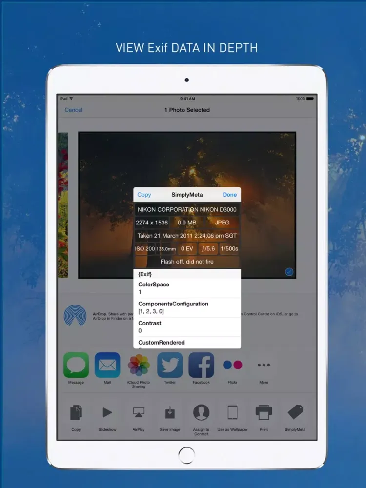 ภาพหน้าจอของ SimplyMeta iPad 