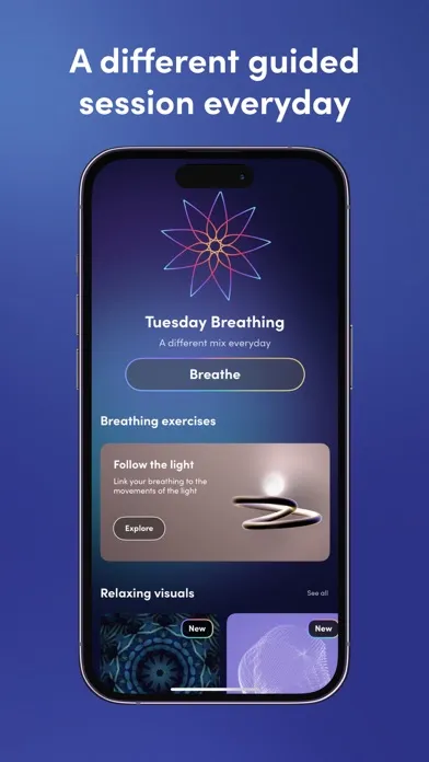Скриншоты Motionscape: Mindful Breathing