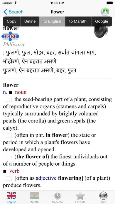 Screenshot di English Marathi best dictionary