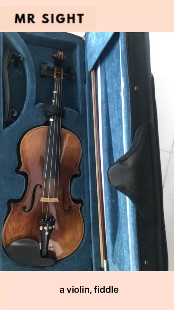 Mr Sight應用截圖