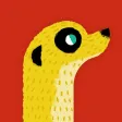 MeerKat 定期的に立つ！