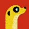 MeerKat 定期的に立つ！
