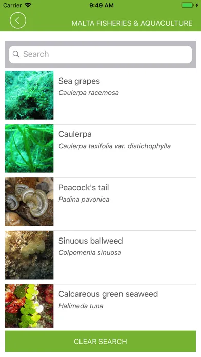 Capturas de tela do Malta Fisheries & Aquaculture