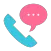 Call Comments - add comments t