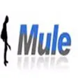 Mule 뮬 - 중고악기 매매 장터 Mule 뮬 - 중고악기 매매 장터