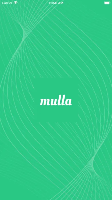 تصاویر MullaWork