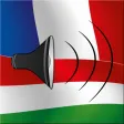 Magyar / Francia kifejezéstár - French / Hungarian phrasebook - Multiphrasebook