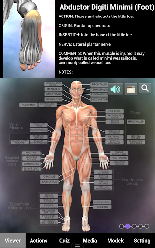 Muscle and Bone Anatomy 3D Screenshots1